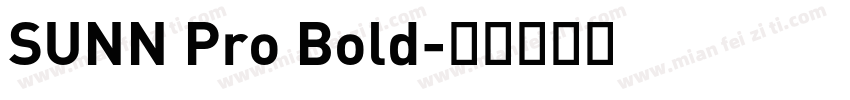 SUNN Pro Bold字体转换